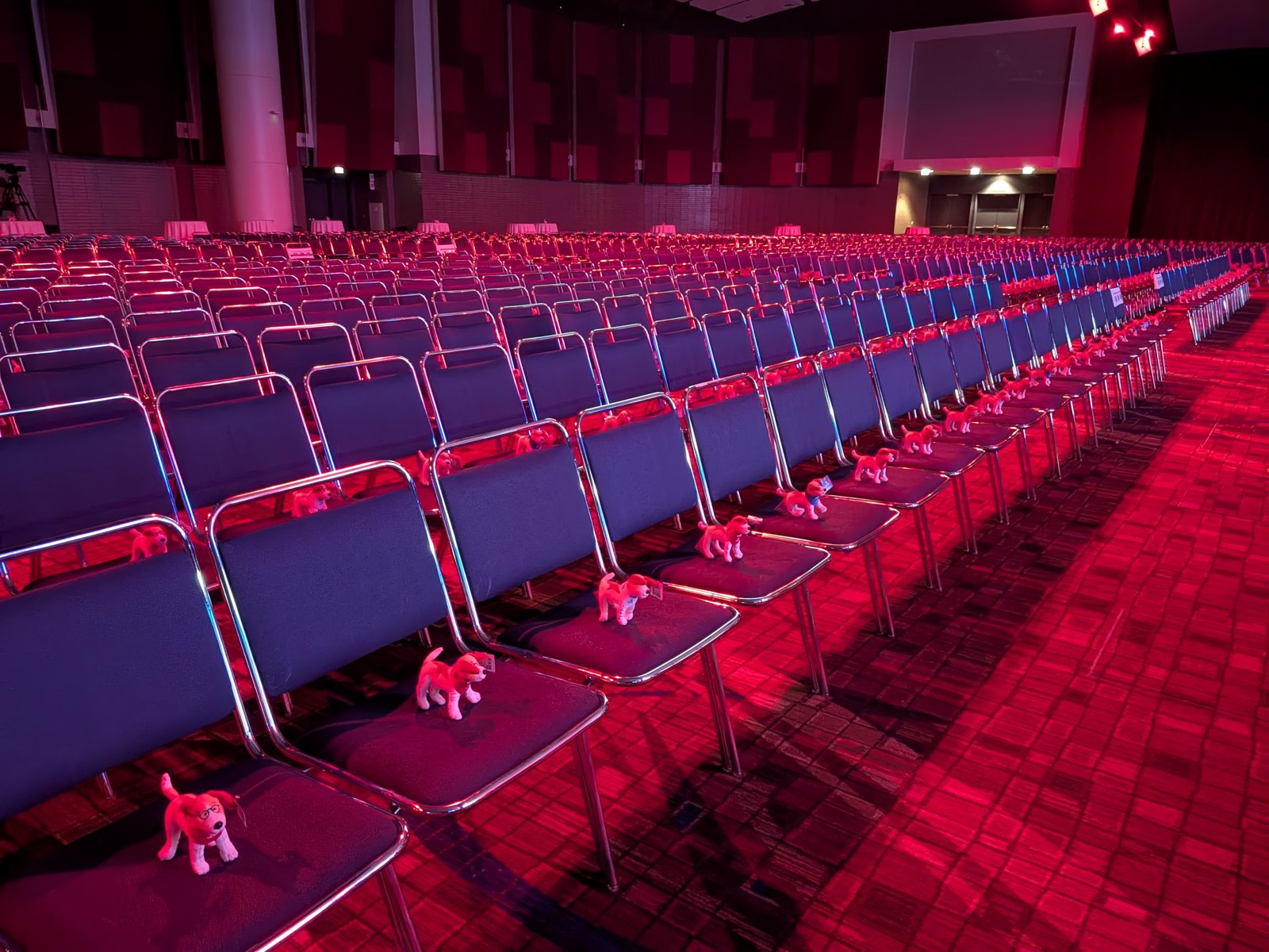 Rows of empty ballroom seats under red stage lighting, each with a small plush dog placed on it, stretching back through the hall.