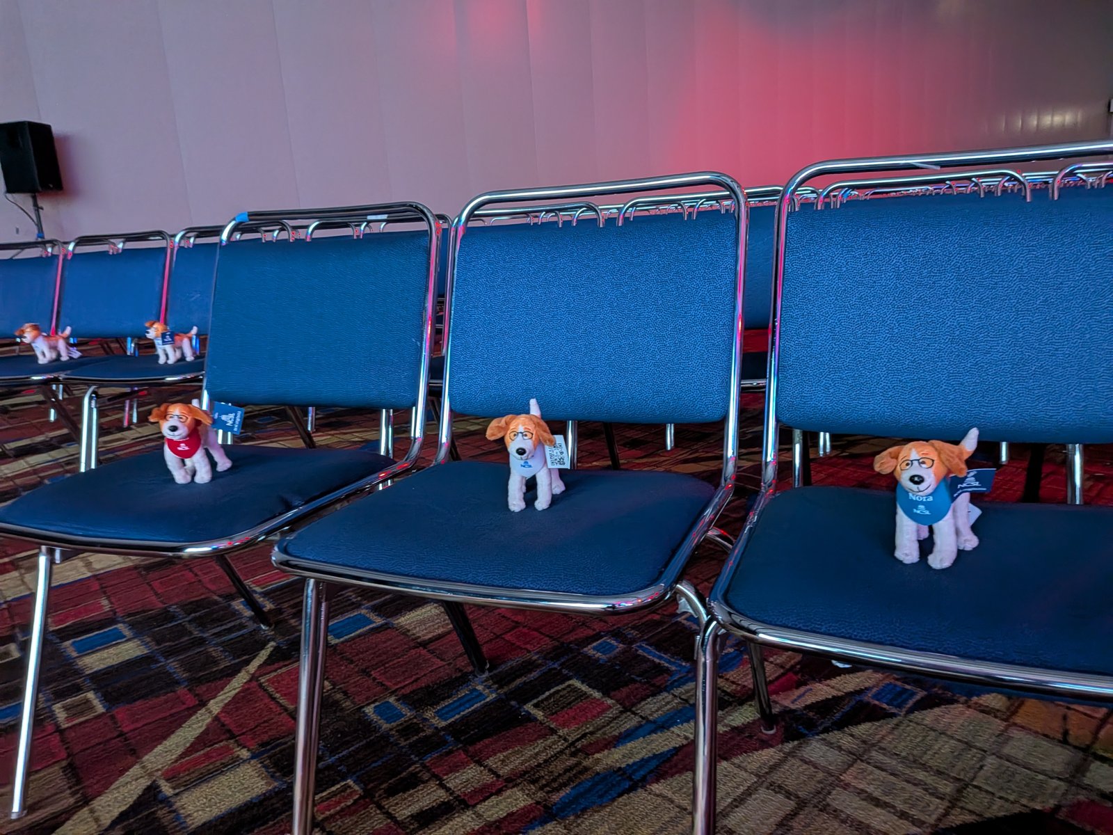 Three ballroom chairs in a row, each with a small plush dog wearing a bandana standing on the seat.